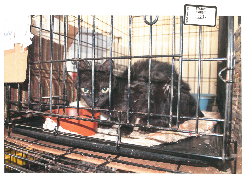 animal hoarding Archives - Holland & Muirden, Attorneys at Law
